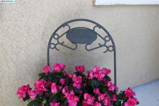 663 Nectar Dr, Los Angeles, CA 94513-6203