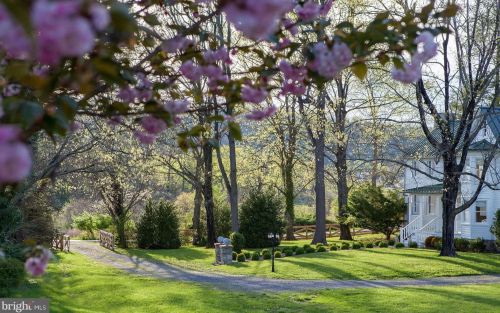 546 Ridge Rd, Hedgesville, WV 25427-4991