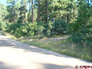 331 Valley View Dr, Vallecito, CO 81122-9242