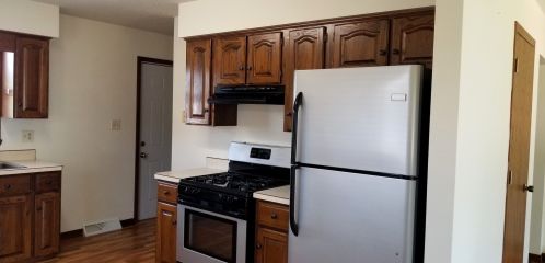 429 2nd Pl, Spring Valley IL  61362-1243 exterior