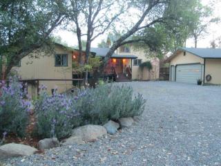 6620 Skyview Ln, Swansboro Country, CA 95667-9431