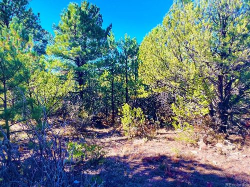 280 Kerrs Hill Rd, Horn Creek, CO 81252-9165