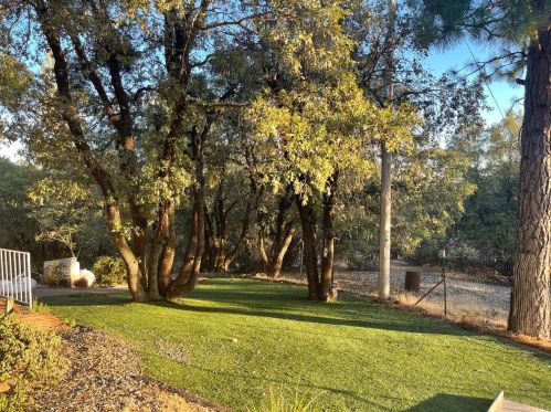 1591 Peek A Boo Ln, Cape Horn, CA 95713-9596