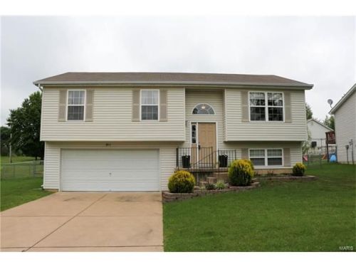 811 Woolf Rd, Pendleton, MO 63383-6184