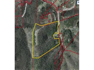 191 Mundy Cove Rd, Weaverville, NC 28787-9717