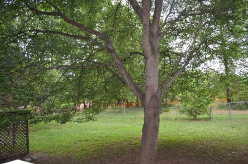 686 Peachtree Rd, Jefferson GA  30549-1558 exterior