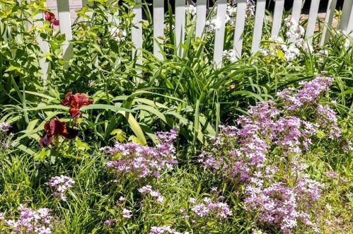 765 Brownwood Ave, Atlanta GA  30316-3842 exterior