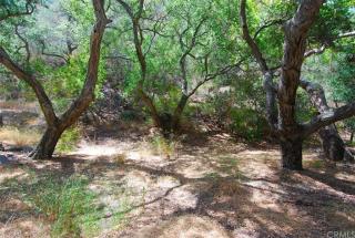 28552 Silverado Canyon Rd, Modjeska, CA