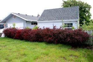945 Alvord Ave, Burns, OR 97720-1206
