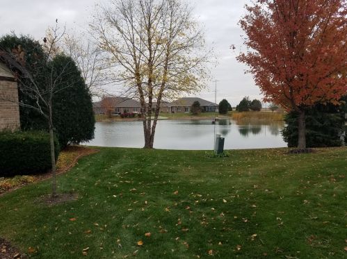 13832 Crescenzo Dr, Wilton Center, IL 60442-4000