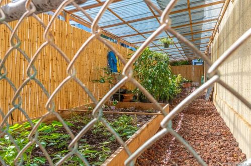 430 Lewers St, Honolulu HI  96815-2444 exterior