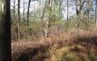 170 Hummingbird Dr, Ellijay, GA 30540-4386