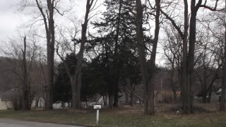 2663 Lillian St, Bellevue, NE 68147-1531