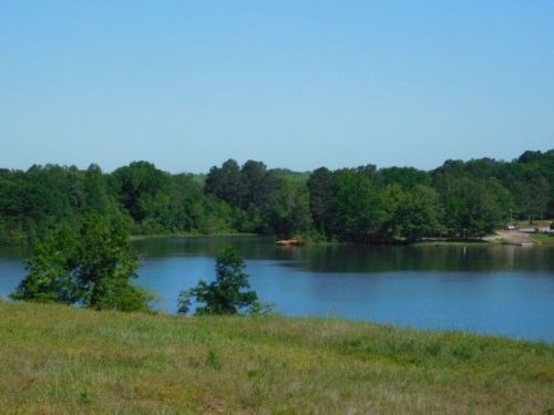 8 Old Beaver Lake Cv, Fulton, MS 38843-8626