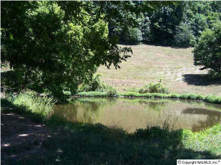 5825 Beech Hill Rd, Pulaski TN  38478-7011 exterior