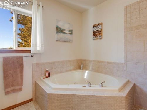 310 Panther Ct, Woodland Park CO exterior