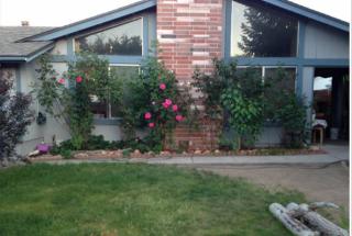 4430 Spg Dr, Reno NV  89502-6323 exterior