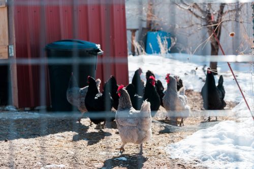 1080 Grandview Dr, Providence UT 84332-9317 exterior