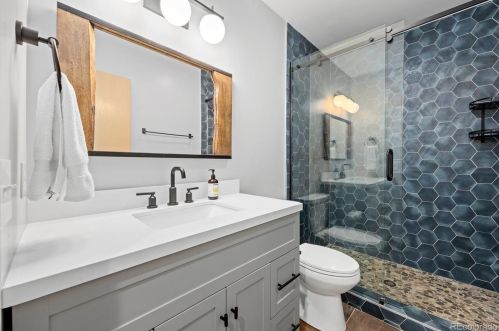 21 Saw Whiskers Cir, Montezuma CO  80435-7903 exterior