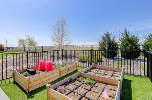 7720 148th Dr, Denver CO  80602-4001 exterior
