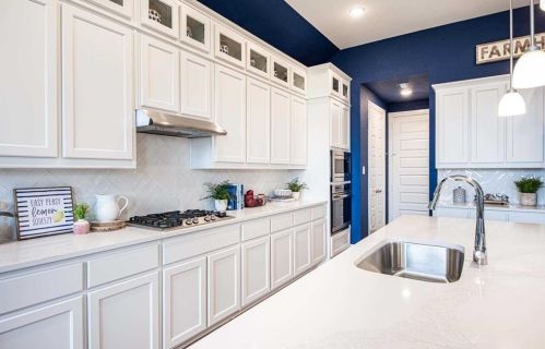 453 Country Meadows Blvd, Waxahachie, TX 75165