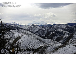 1060 Horse Mountain Dr, Red Feather Lakes, CO