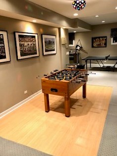 10 Loblolly Ct, Lemont IL  60439-7744 exterior