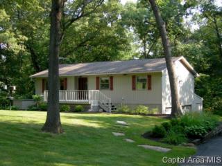 1130 Lakeview Rd, Oak Run, IL 61428-9790