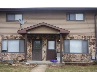 126 Ruga Ct, Addison, IL 60101-3582