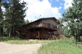 598 Yellow Pine Dr, Bailey, CO 80421-1872