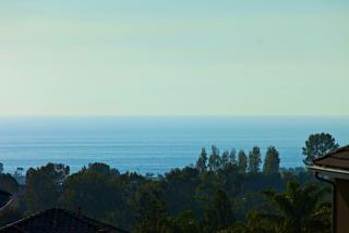 7031 Heron Cir, Carlsbad, CA 92011-3975