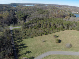 115 Hughes Rd, Greenback, TN 37742-2598