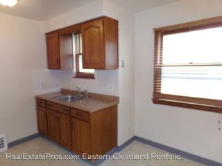 15313 Corkhill Rd, Cleveland OH  44137-4903 exterior