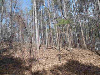 12 Rip Tide Ct, Salem, SC 29676-4305