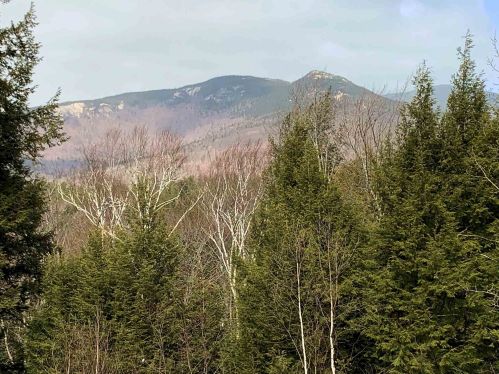 263 Sandwich Notch Rd, Ellsworth, NH 03285-6564