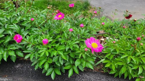 94 Eldrid Dr, Silver Spring MD 20904-2910 exterior