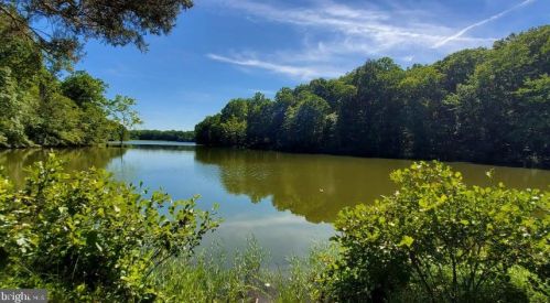 13115 Harbor Dr, Madison Mills, VA 22960-3953