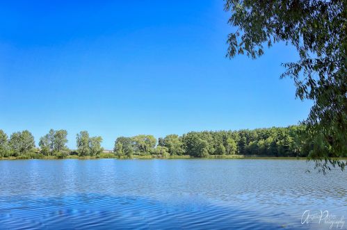 953 Timber Lake Dr, Antioch, IL 60002-6212
