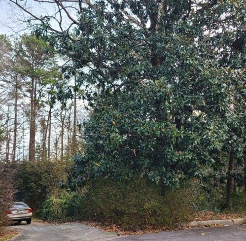 3941 Forrest Ct, Atlanta, GA 30341-1613