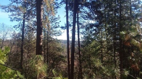 15090 Brooks Rd, Grass Valley, CA 95945-4328