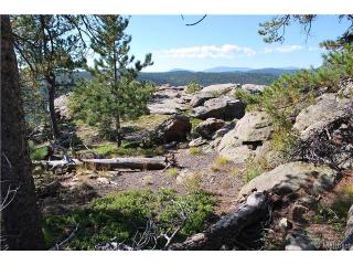 10472 Maxine Ct, Morrison, CO 80465-2333