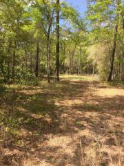 179 Sullivans Landing Rd, Ridgeville, SC 29472-9101