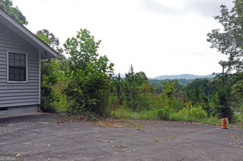 7203 Murphy Hwy, Mineral Bluff, GA 30559-2632