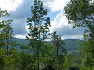165 Morse Rd, Bridgewater, NH 03264-3516