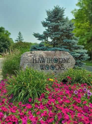 502 Hawthorne Woods Dr, Saint Paul, MN 55123-3059