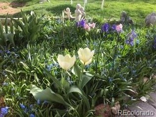 6355 Florence Way, Englewood CO 80111-5624 exterior