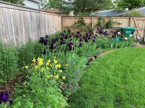 2661 Gaylord St, Denver CO  80205-4619 exterior