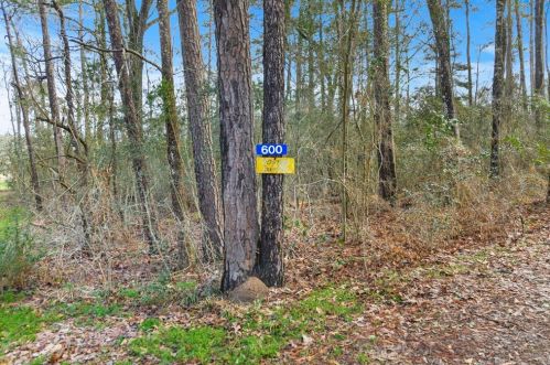 600 Lake Rd, Stephen Creek, TX 77331-8864