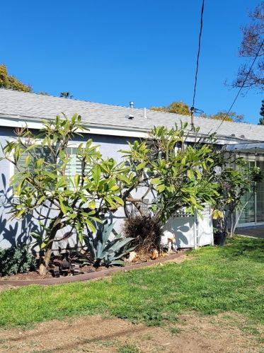 3646 Glenroy Ave, Anaheim CA  92804-4617 exterior
