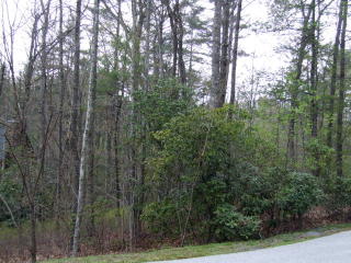 194 Catesby Trl, Cashiers, NC 28717-0060